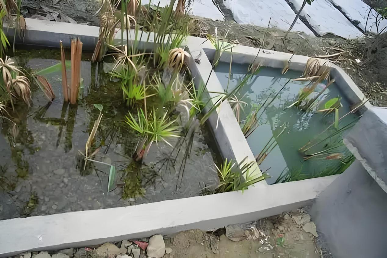 login_𺣰ƽ̨_𺣰δ