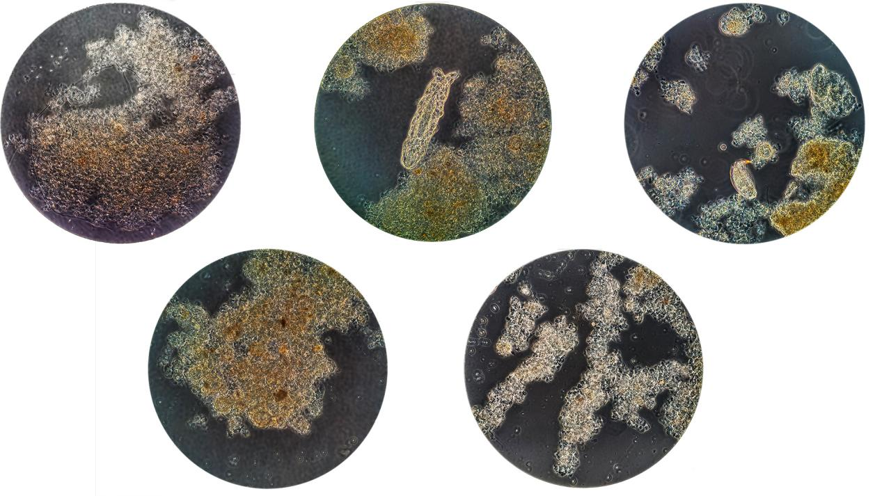 login_𺣰ƽ̨_𺣰δ