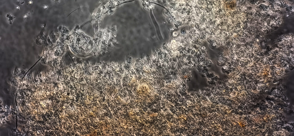 login_𺣰ƽ̨_𺣰δ