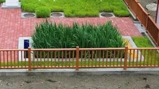 login_𺣰ƽ̨_𺣰δ