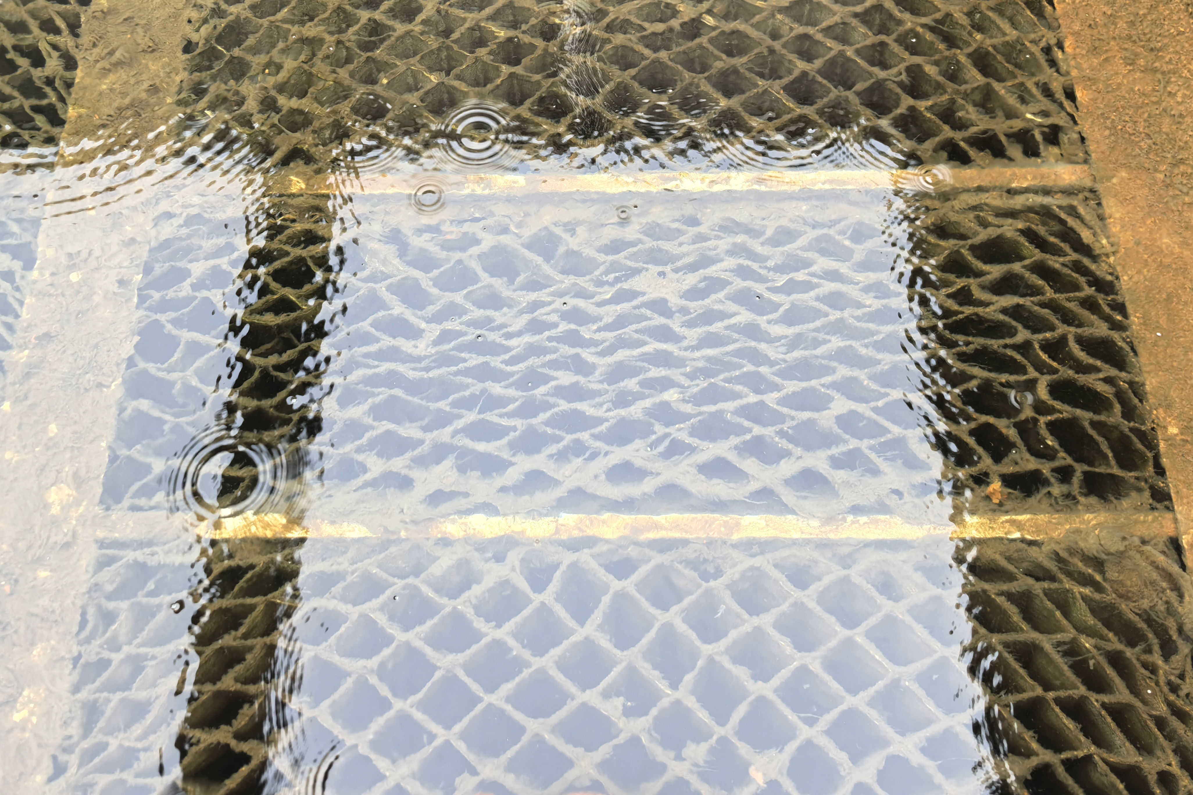 login_𺣰ƽ̨_𺣰δ